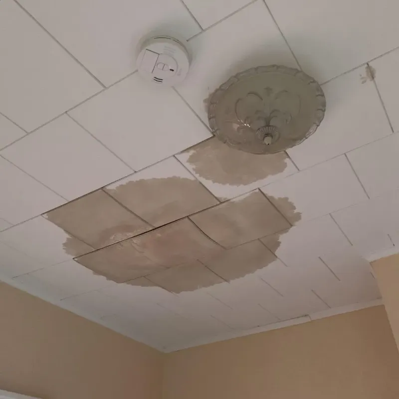 Ceiling Water Damage Repair in Hillview, KY