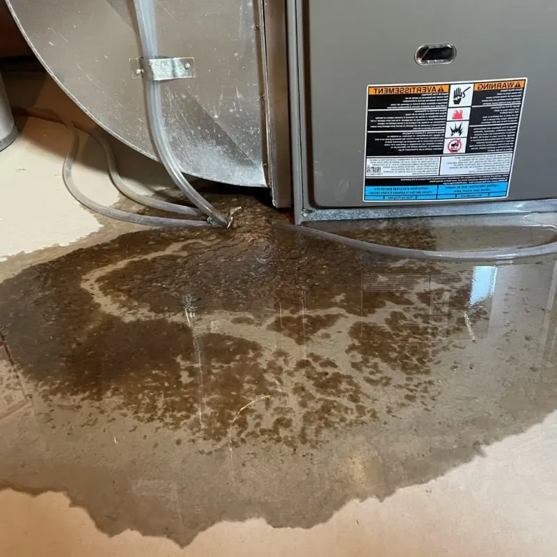 Pipe Burst and Leak Restoration in Hillview, KY
