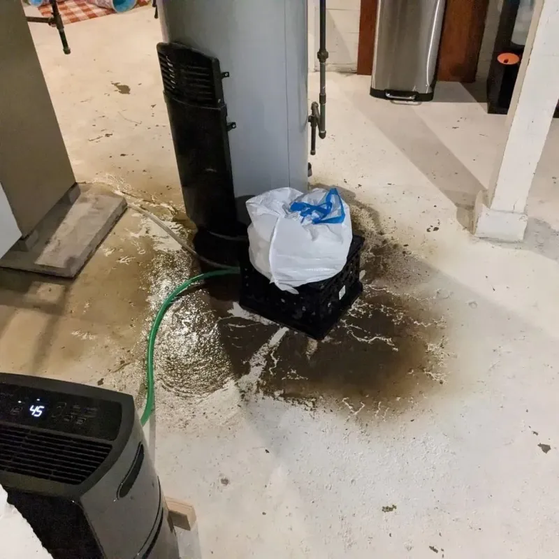 Sewage Backup Cleanup Service in Hillview, KY